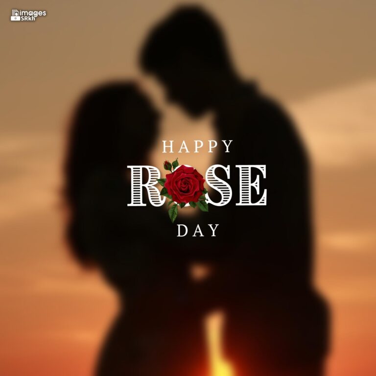 Romantic Rose Day Images 2 full HD free download.