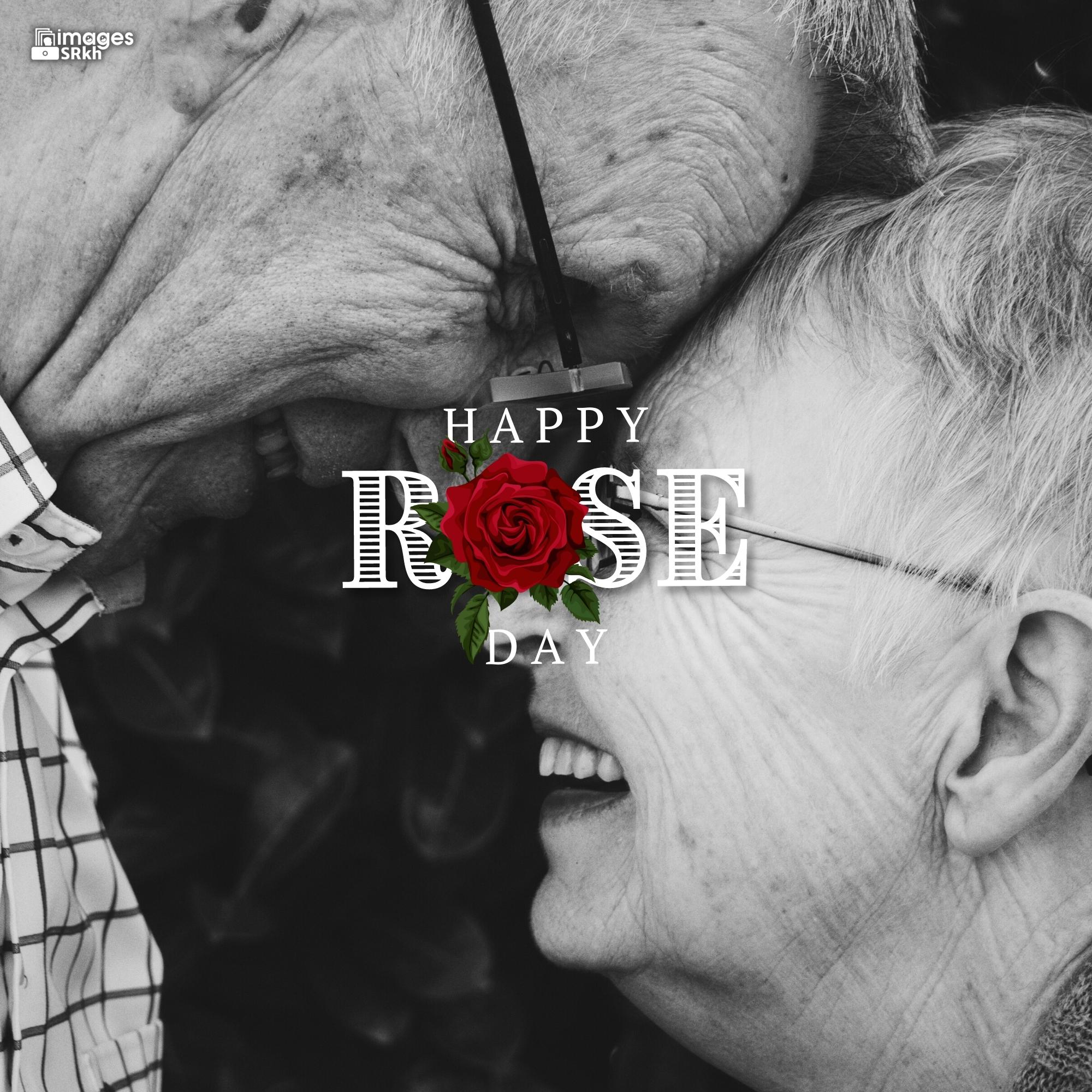 Romantic Rose Day Images Hd Download (11)