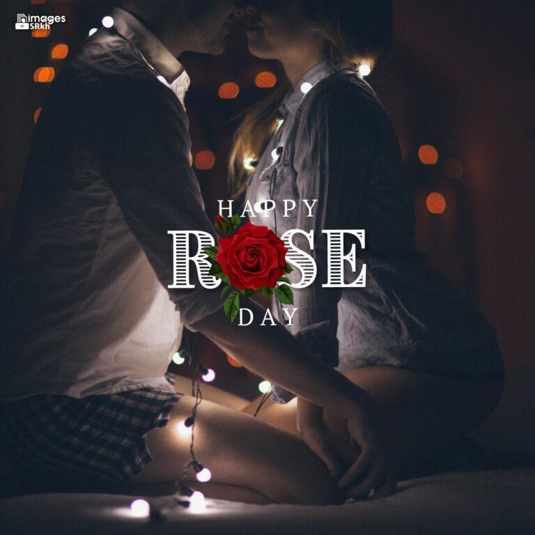 Romantic Rose Day Images Hd Download 22 full HD free download.