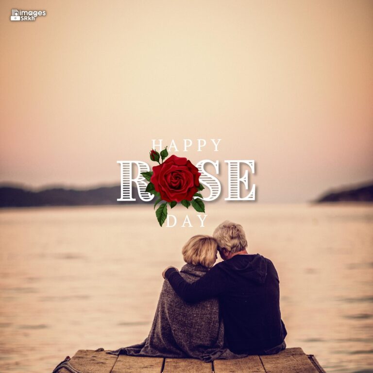 Romantic Rose Day Images Hd Download 24 full HD free download.