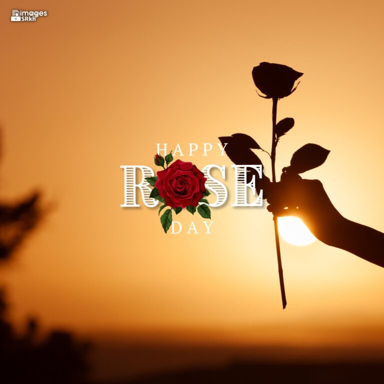 Romantic Rose Day Images Hd Download 26 full HD free download.