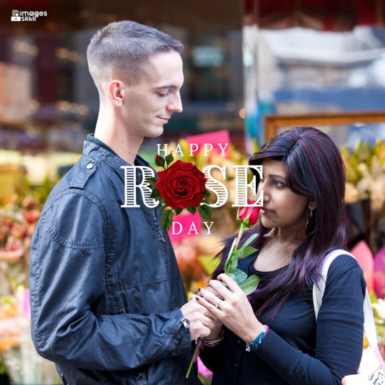 Romantic Rose Day Images Hd Download 31 full HD free download.