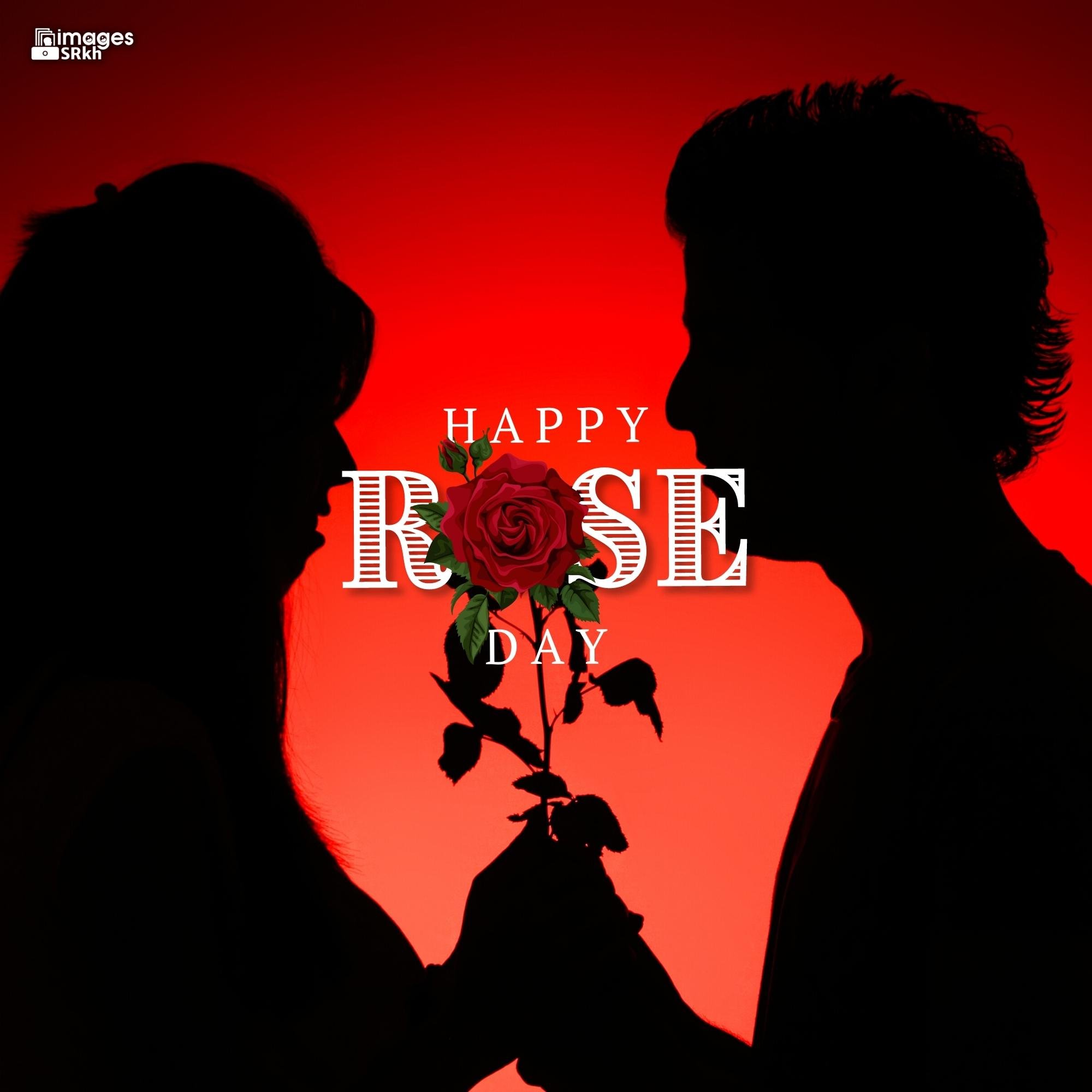 Romantic Rose Day Images Hd Download (39)