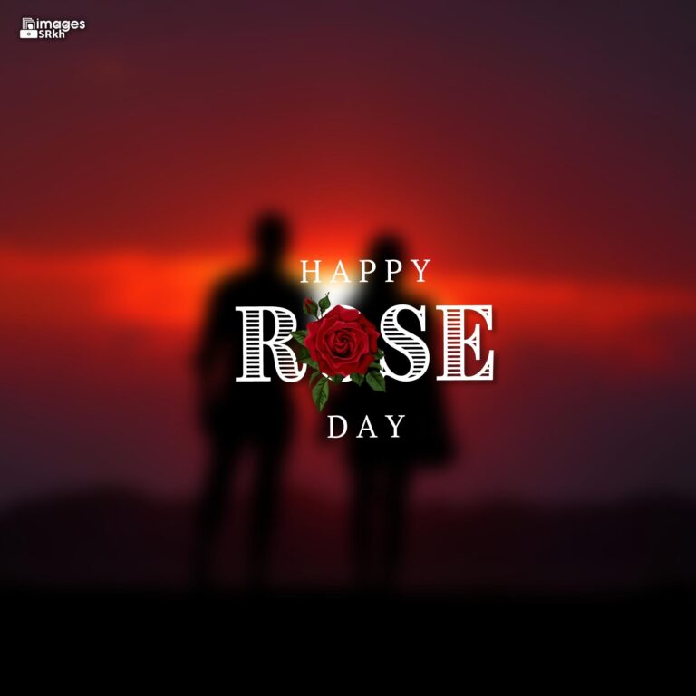 Romantic Rose Day Images Hd Download 4 full HD free download.