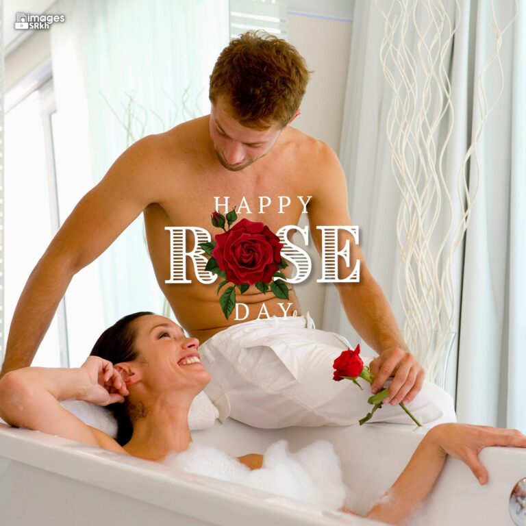 Romantic Rose Day Images Hd Download 43 full HD free download.