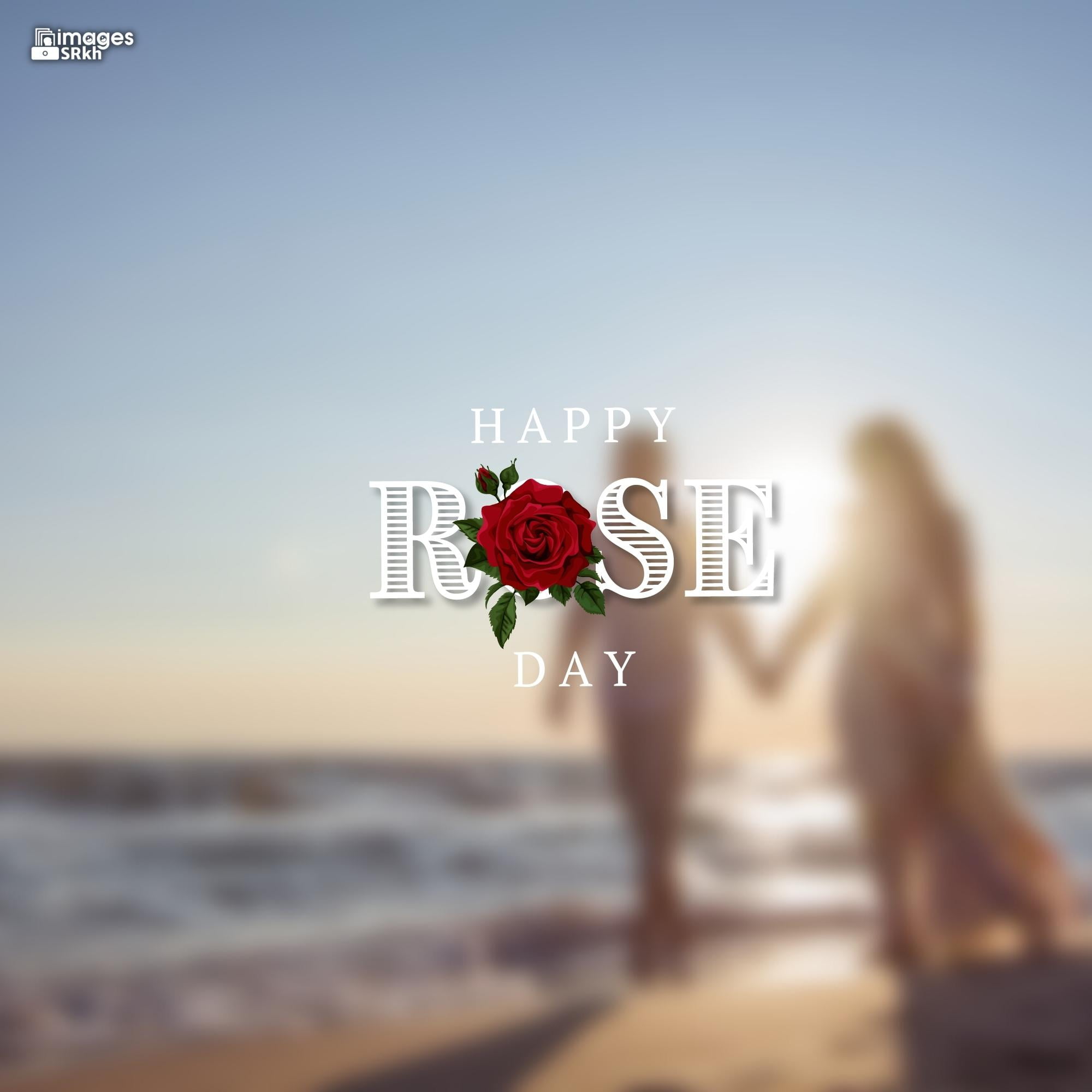 Romantic Rose Day Images Hd Download (6)