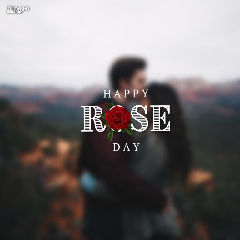 Romantic Rose Day Images Hd Download 7 full HD free download.