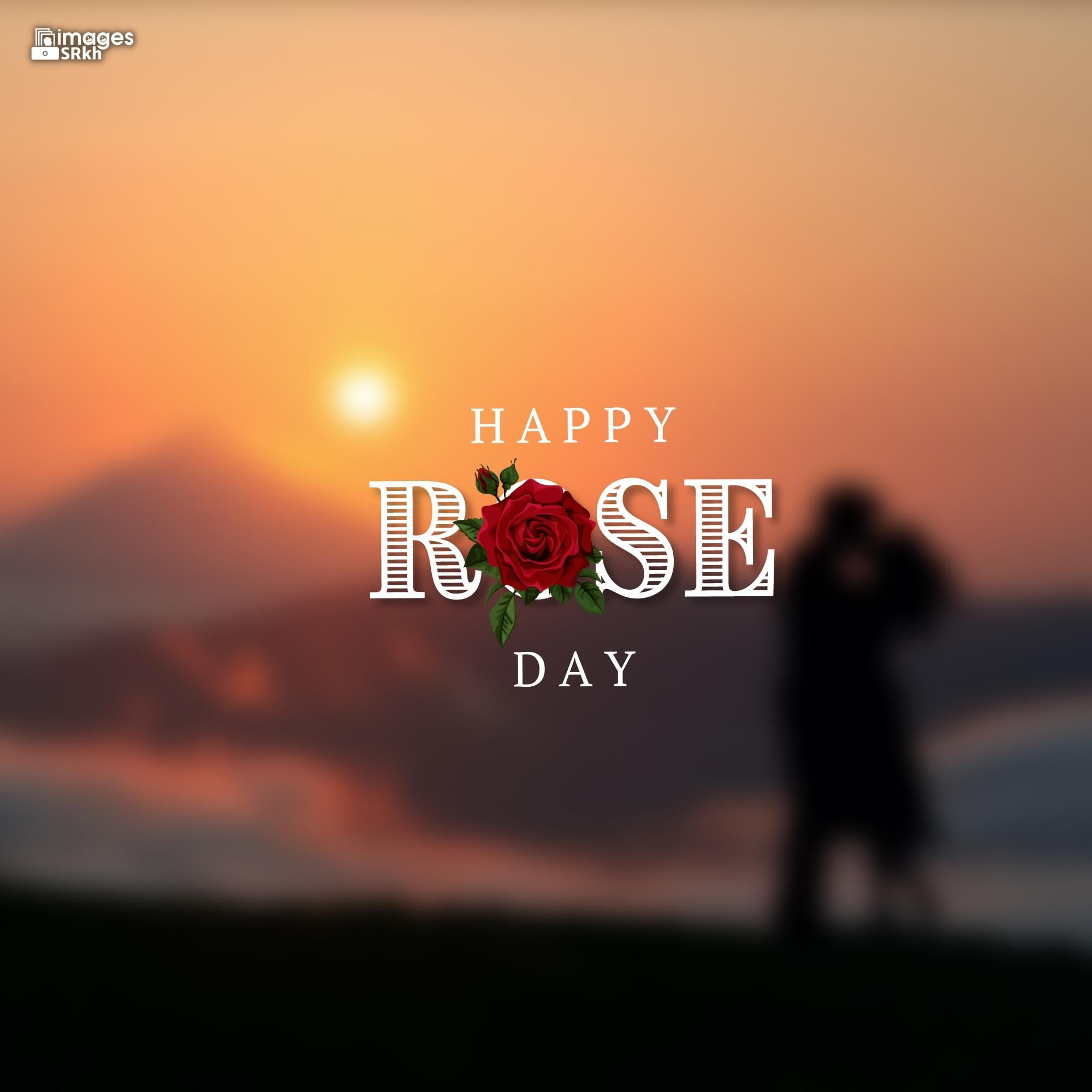 Romantic Rose Day Images Hd Download (8)