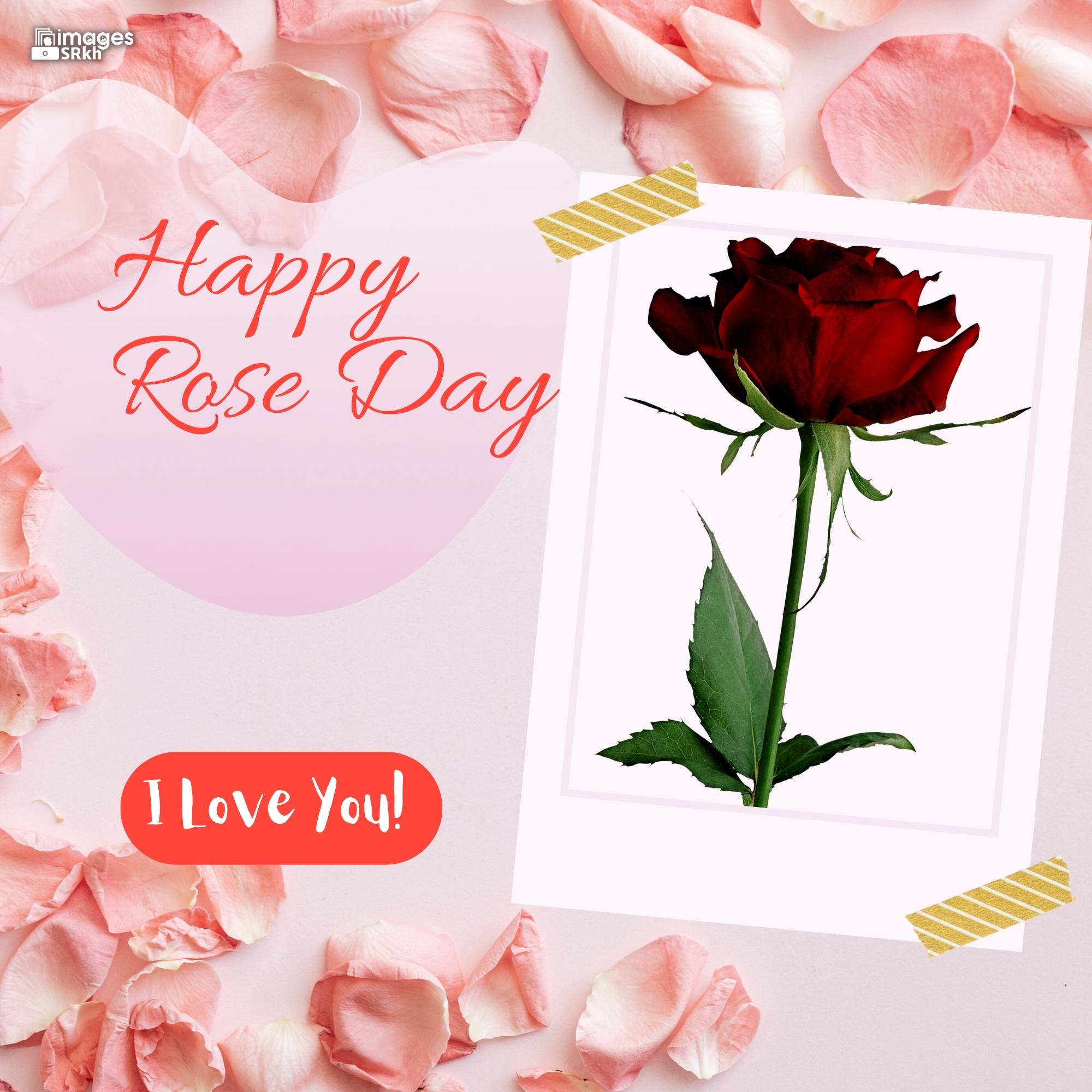 Rose Day Wishing Image Hd Download (11)