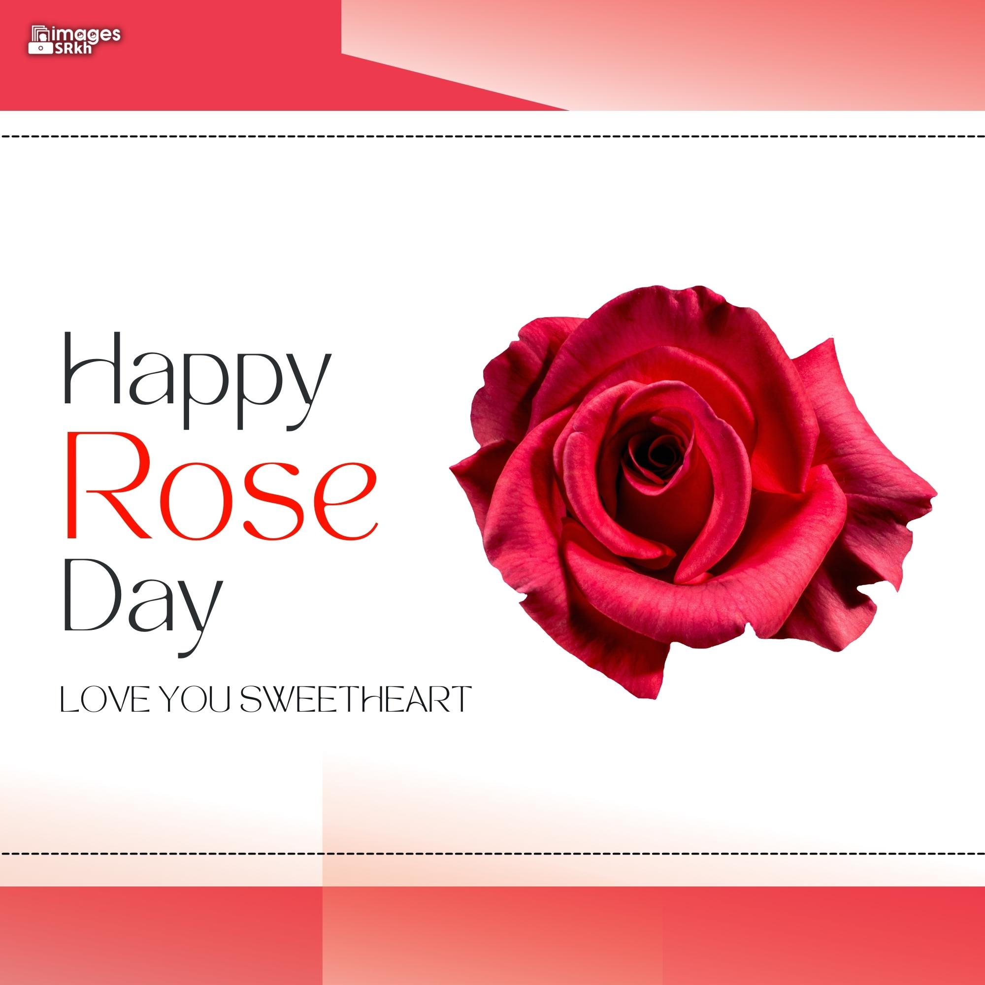 Rose Day Wishing Image Hd Download (13)