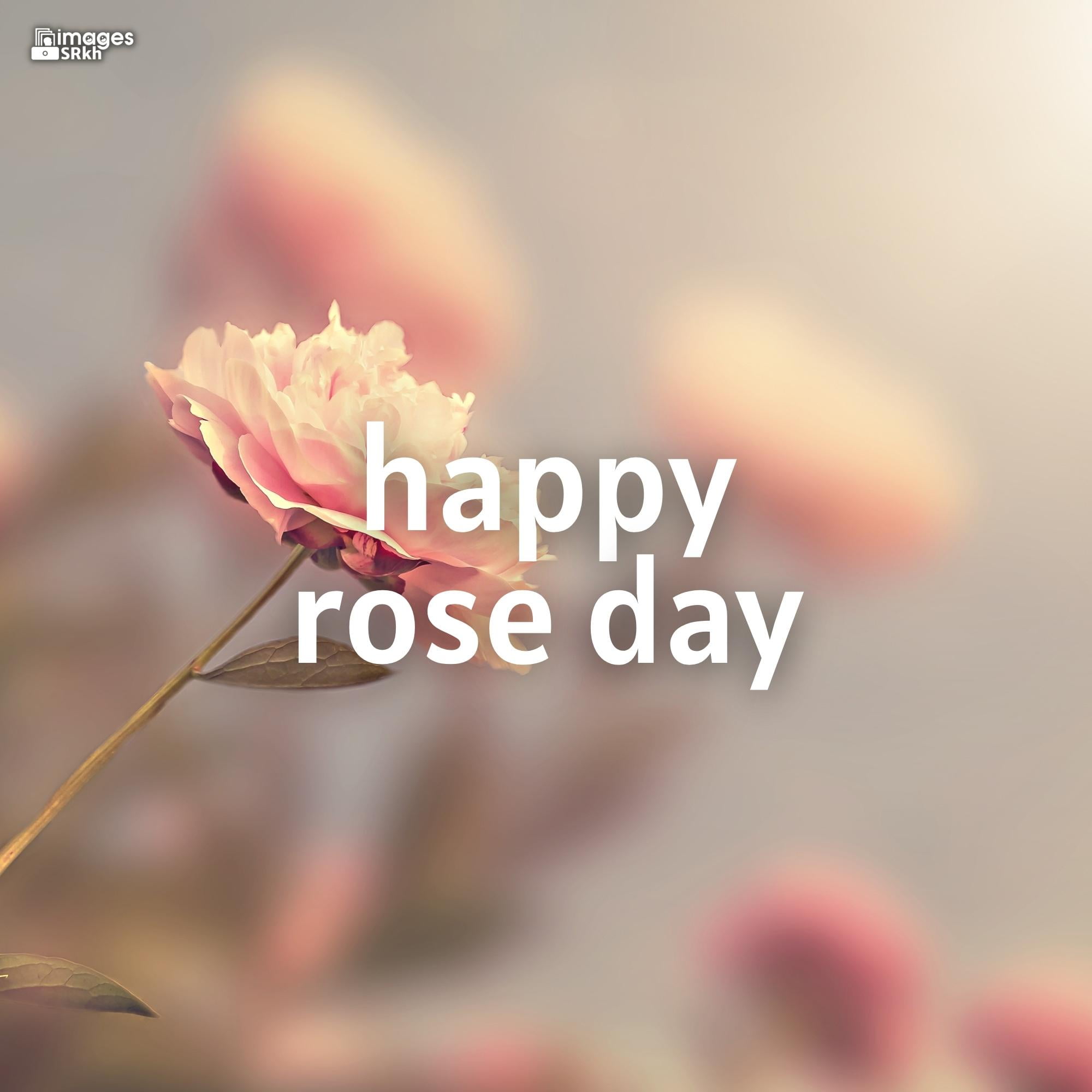 Rose Day Wishing Image Hd Download (14)