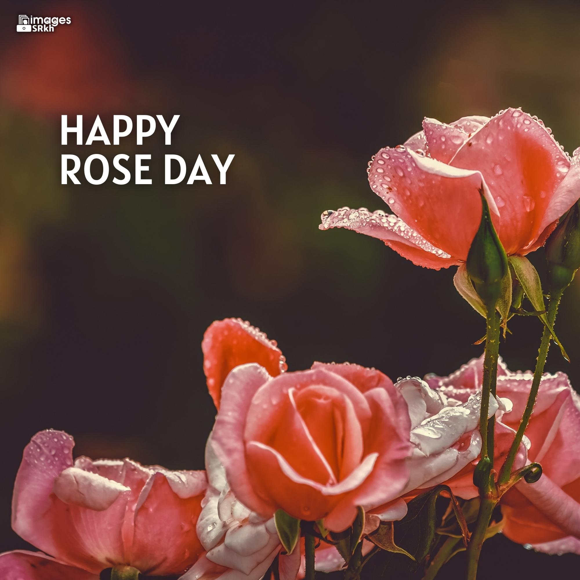 Rose Day Wishing Image Hd Download (15)