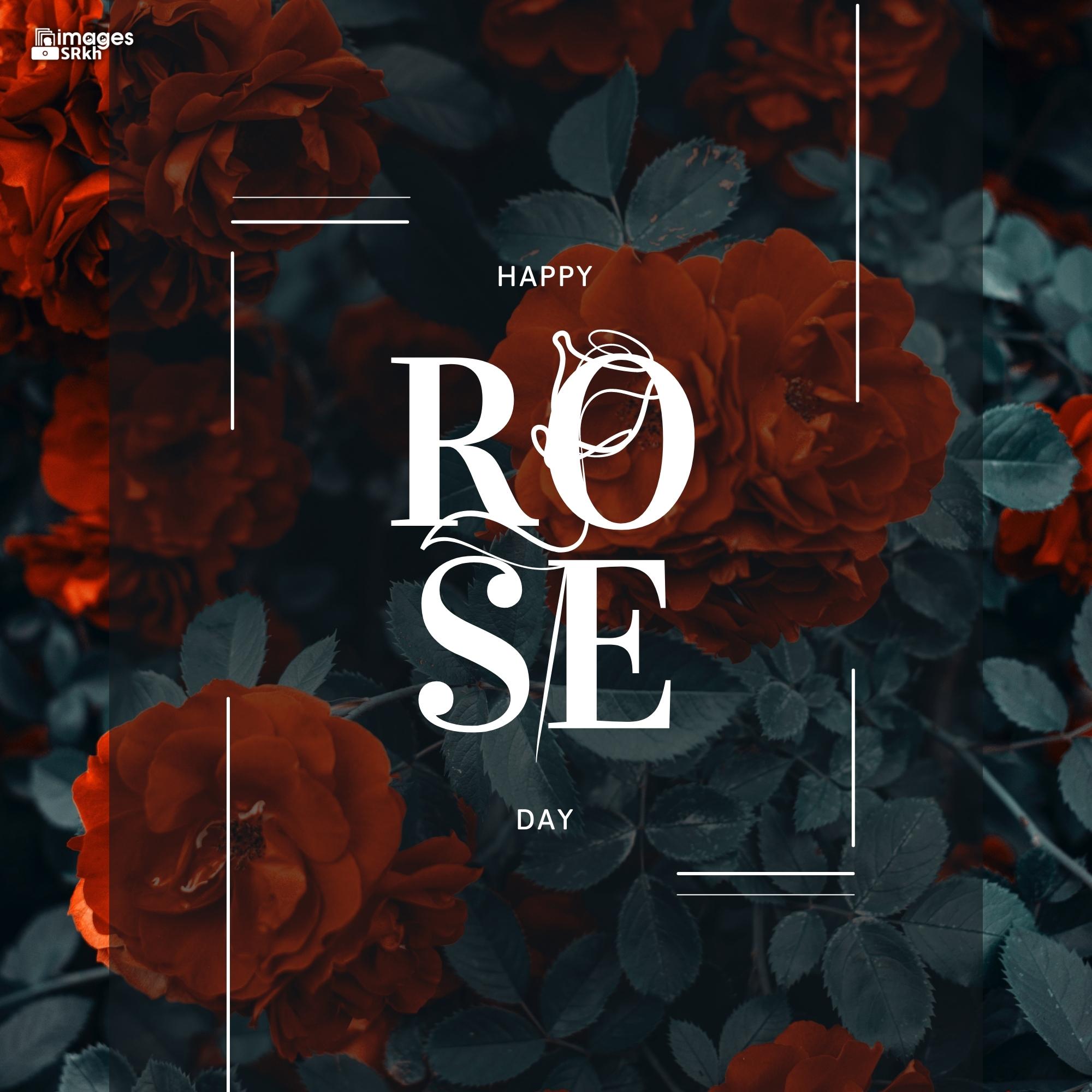Rose Day Wishing Image Hd Download (17)