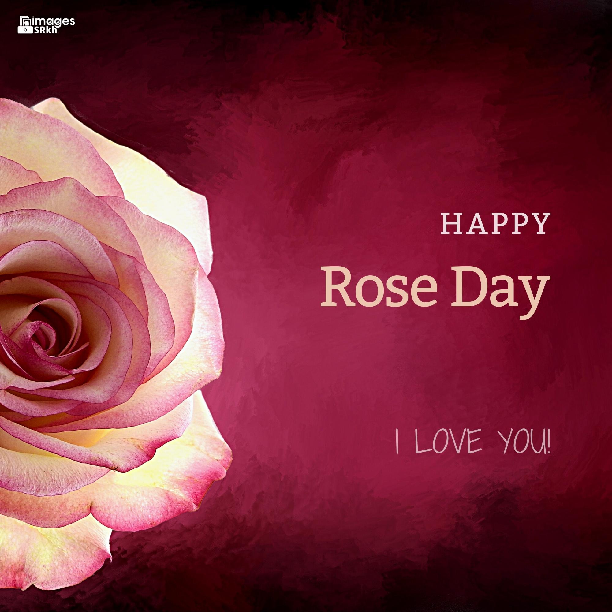 Rose Day Wishing Image Hd Download (2)