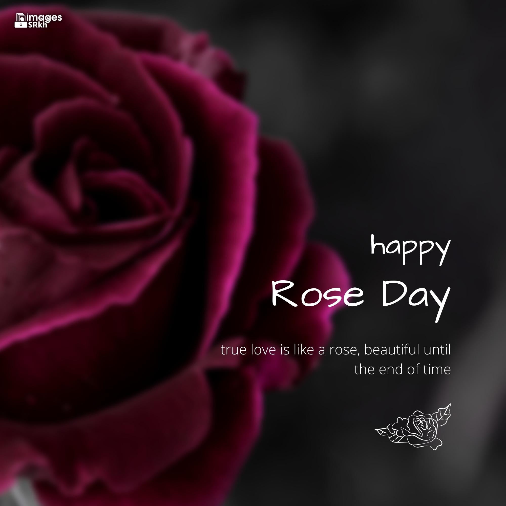 Rose Day Wishing Image Hd Download (3)
