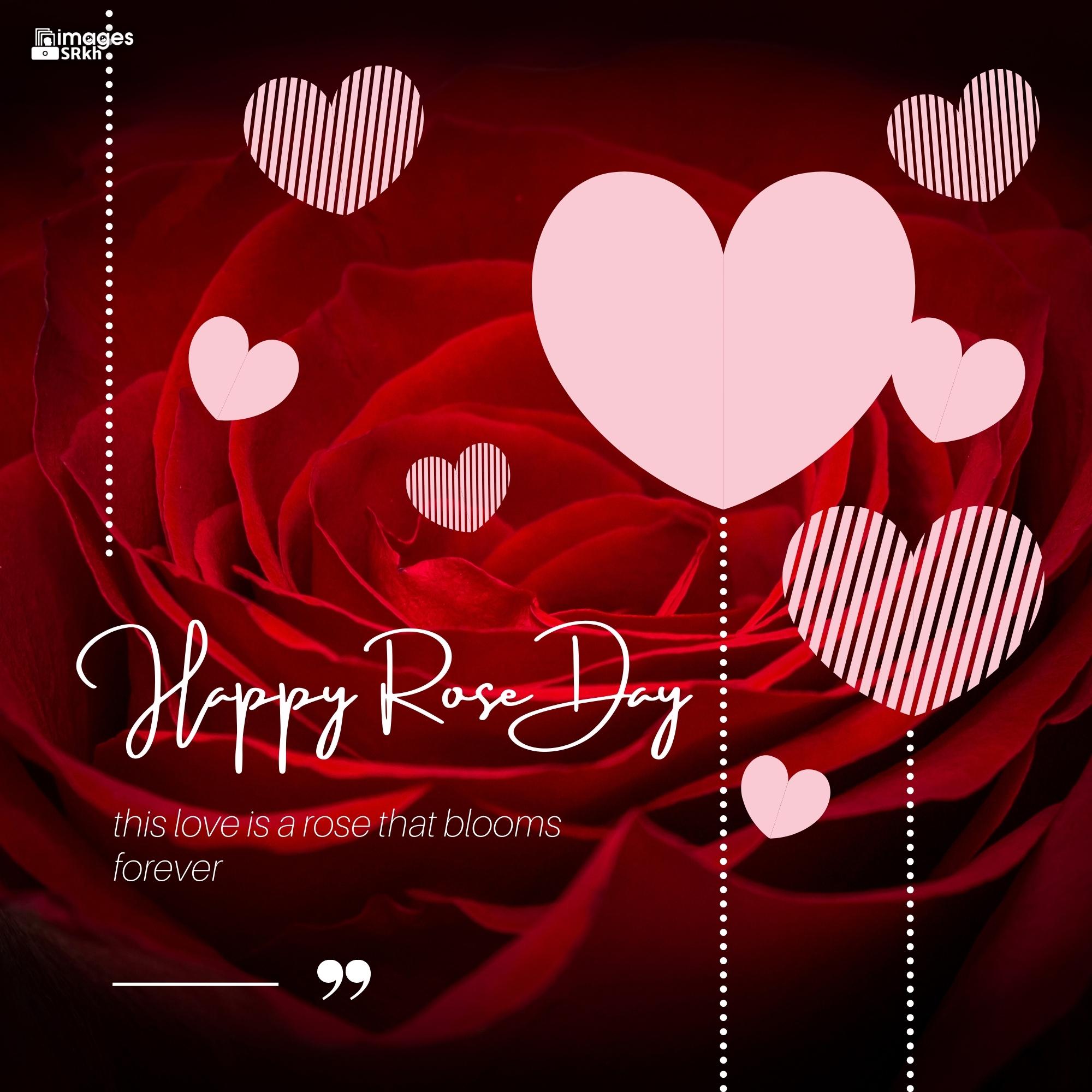 Rose Day Wishing Image Hd Download (4)