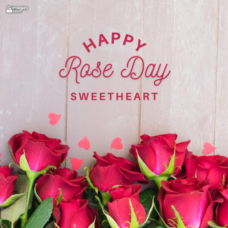 Rose Day Wishing Image Hd Download 6 full HD free download.