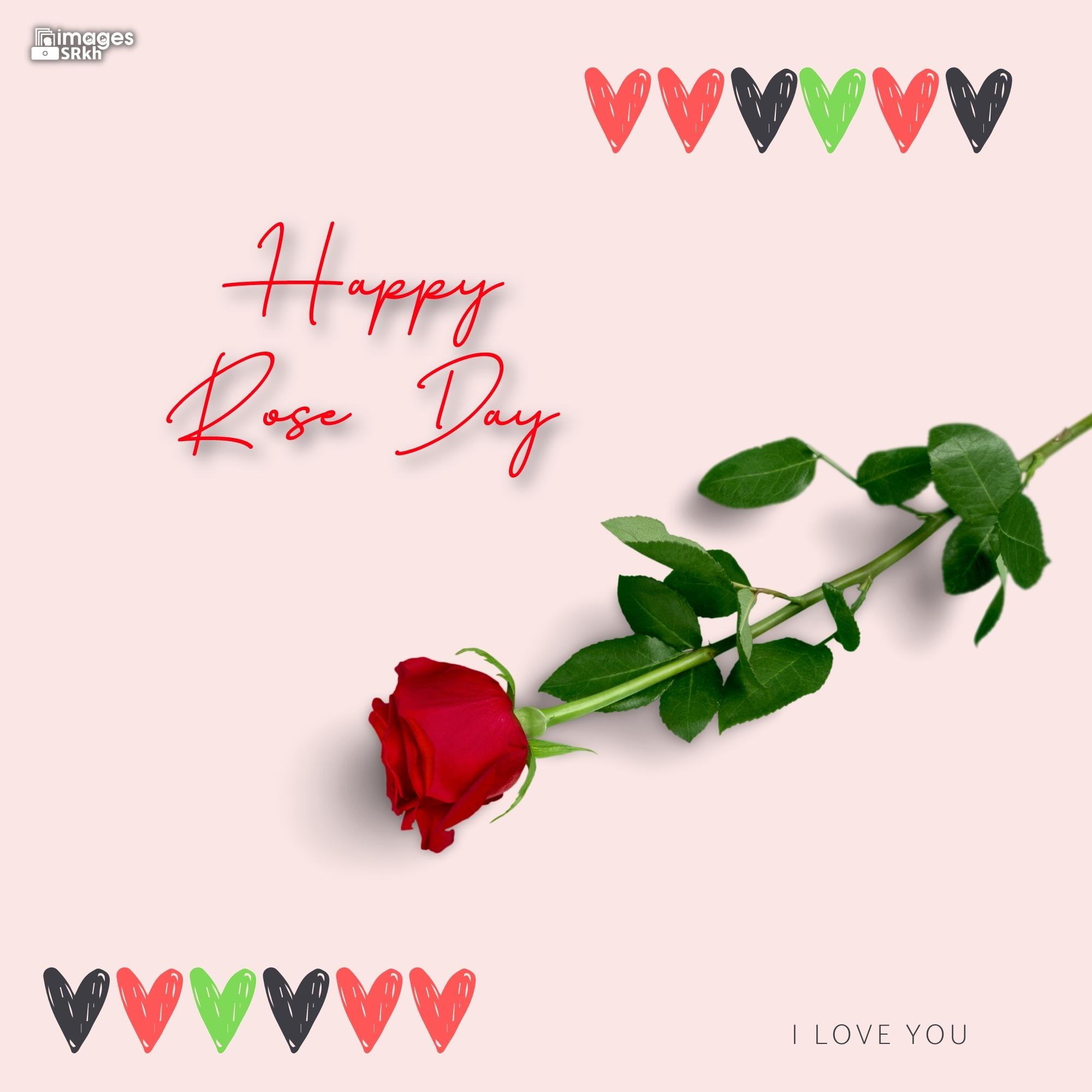 Rose Day Wishing Image Hd Download (9)