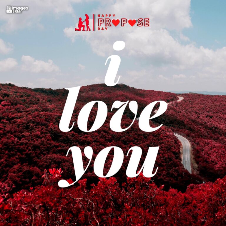Happy Propose Day Images 360 I LOVE YOU full HD free download.
