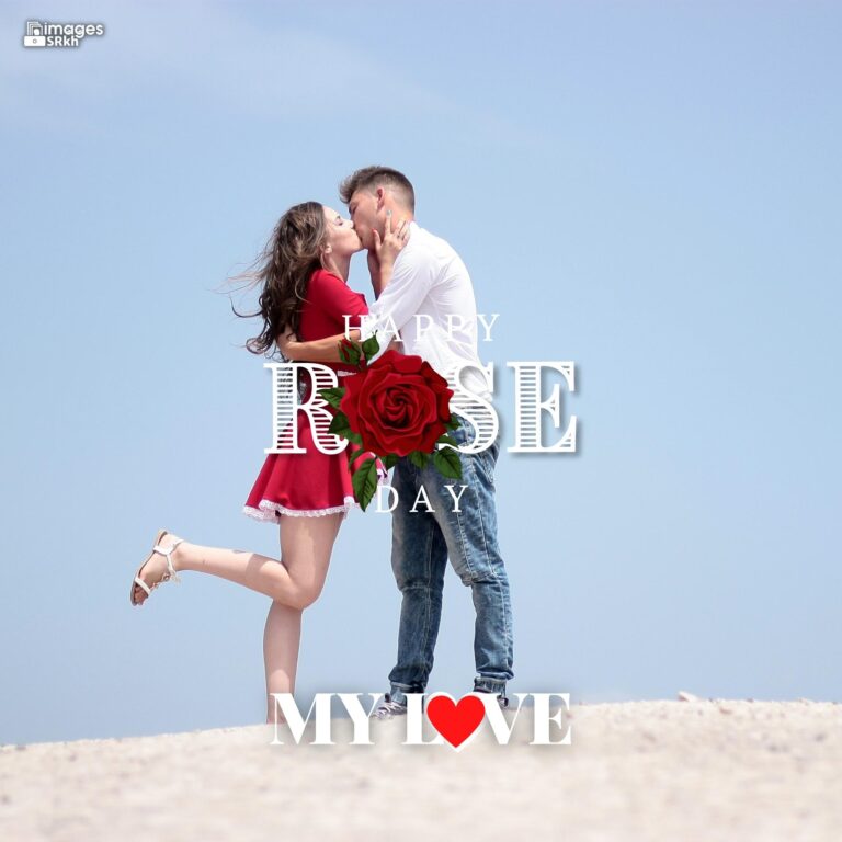 Happy Rose Day My Love 22 HD IMAGES full HD free download.