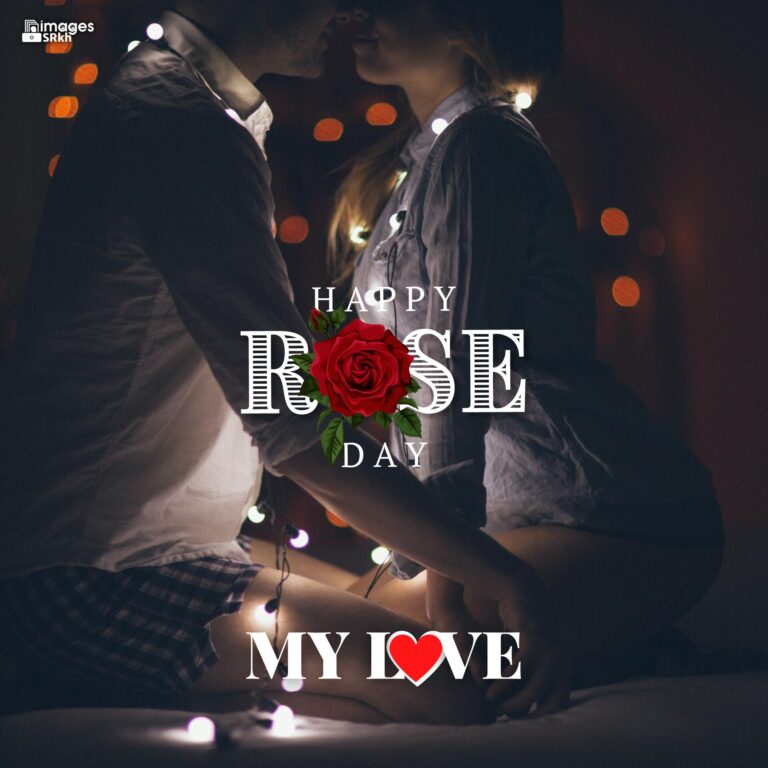 Happy Rose Day My Love 23 HD IMAGES full HD free download.