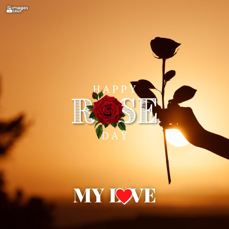 Happy Rose Day My Love 27 HD IMAGES full HD free download.