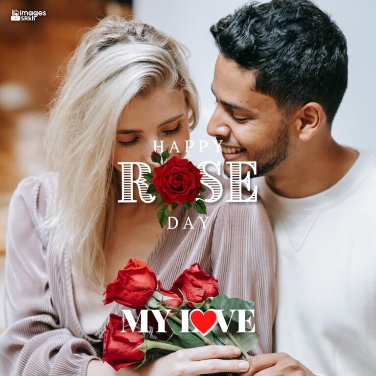 Happy Rose Day My Love 30 HD IMAGES full HD free download.