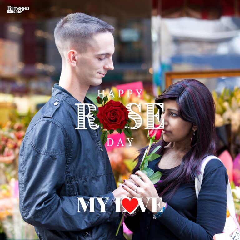 Happy Rose Day My Love 32 HD IMAGES full HD free download.