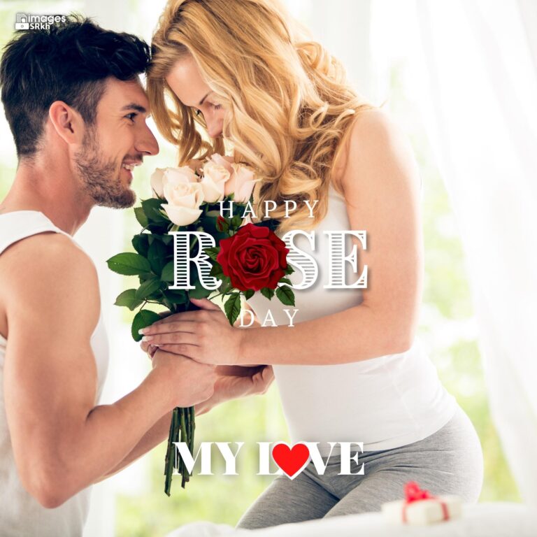 Happy Rose Day My Love 35 HD IMAGES full HD free download.