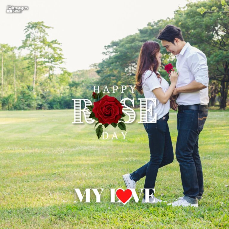 Happy Rose Day My Love 36 HD IMAGES full HD free download.