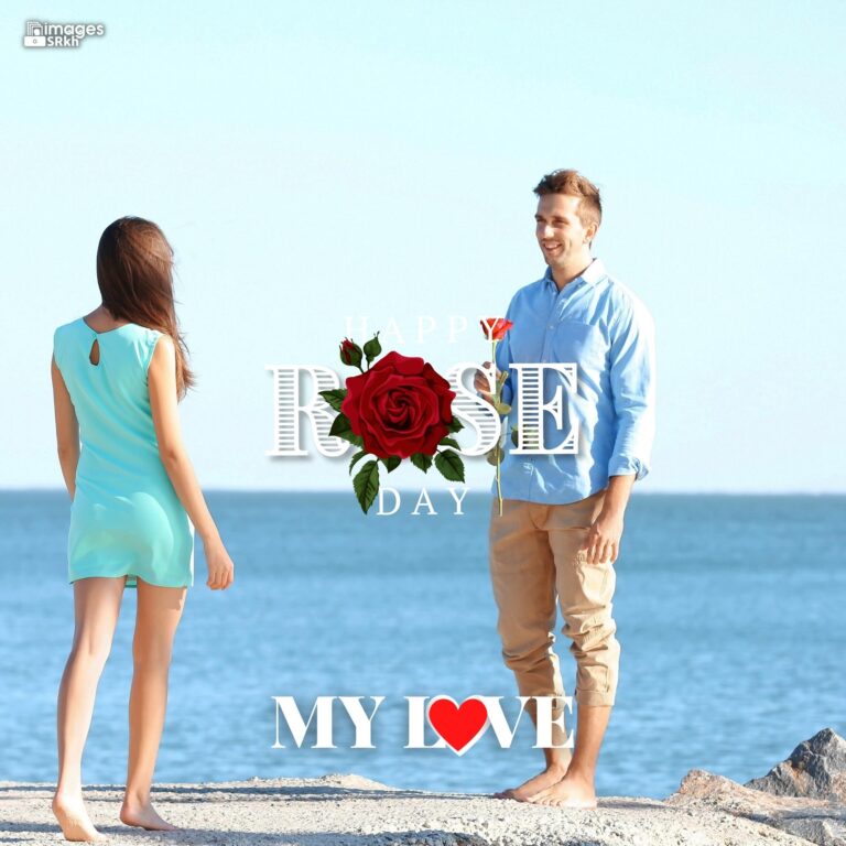 Happy Rose Day My Love 43 HD IMAGES full HD free download.