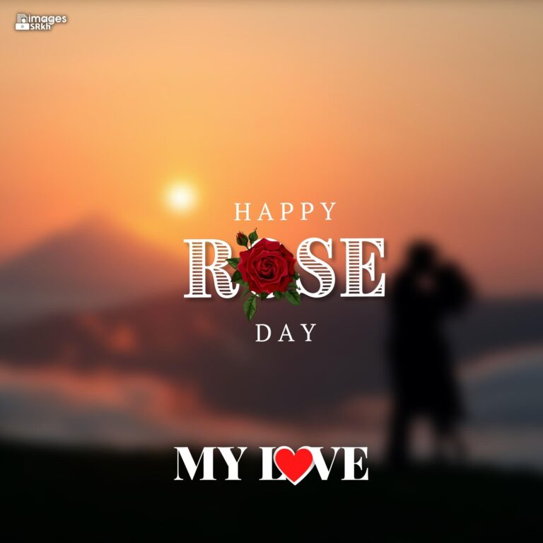 Happy Rose Day My Love 9 HD IMAGES full HD free download.