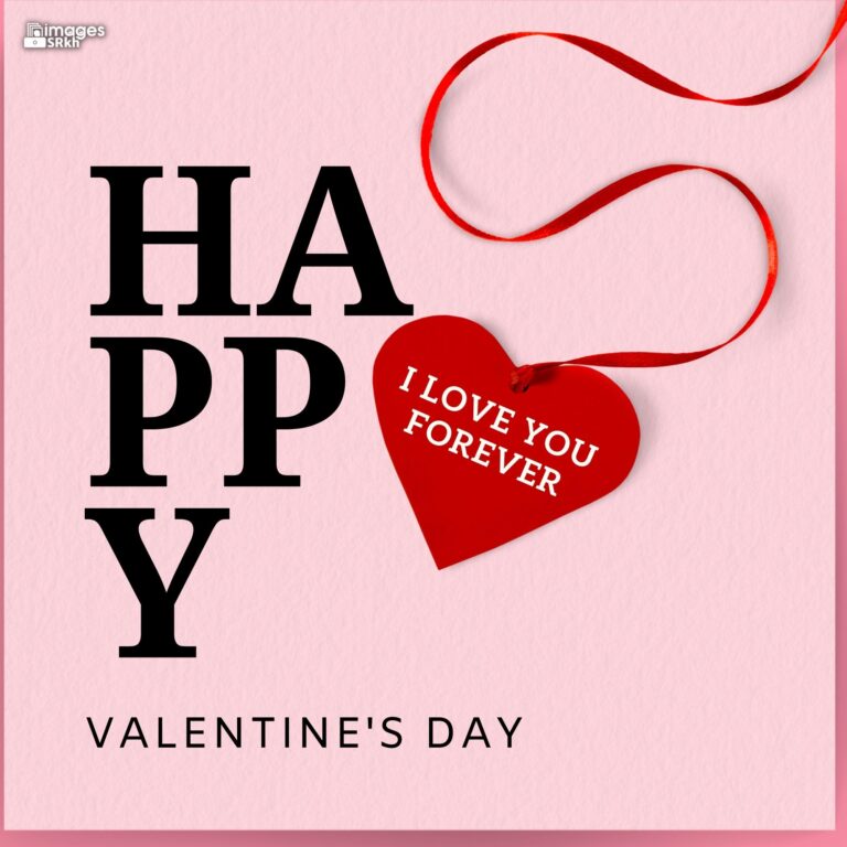 Happy Valentines Day 441 PREMIUM IMAGES Wishes for Love full HD free download.