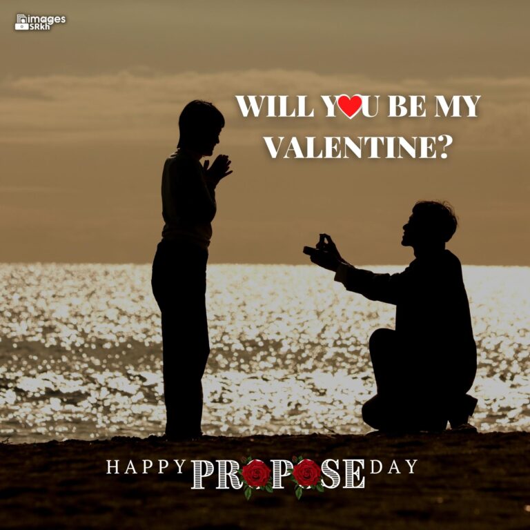 Propose Day Images 241 Will You Be My Valentine full HD free download.